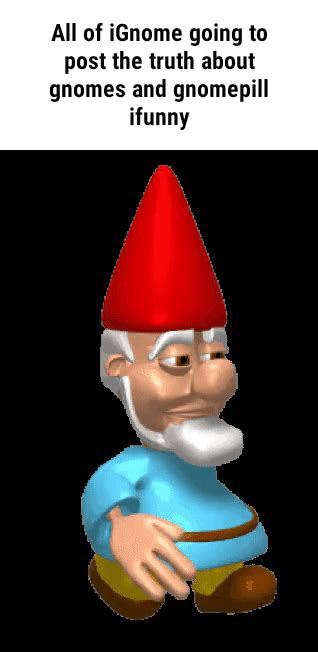 gnome pilled|gnomepill meaning.